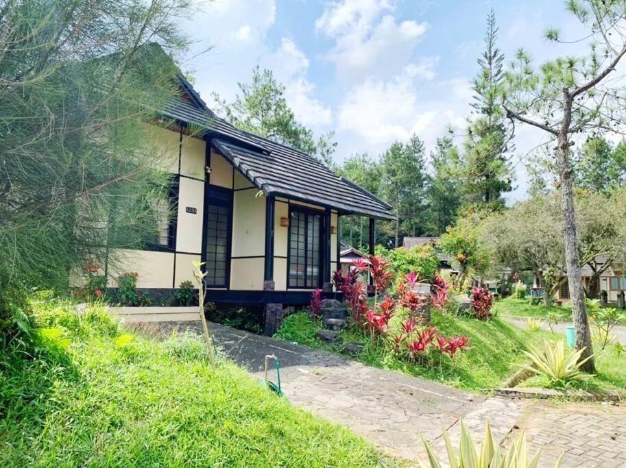 Designer Villa Tokyo Cianjur Kültér fotó